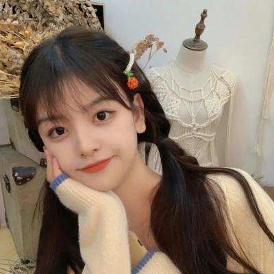 木材宝藏狗
